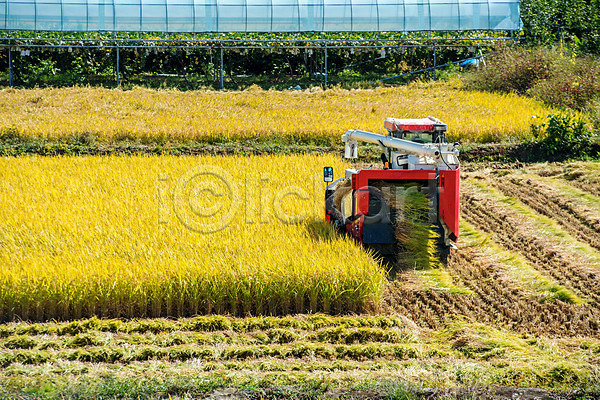 사람없음 JPG 포토 해외이미지 가을(계절) 농업 농작물 농장 밀 밀짚 밭 밭일 산업 수확 야외 자연 작업 추수 트랙터 풍경(경치) 해외202004