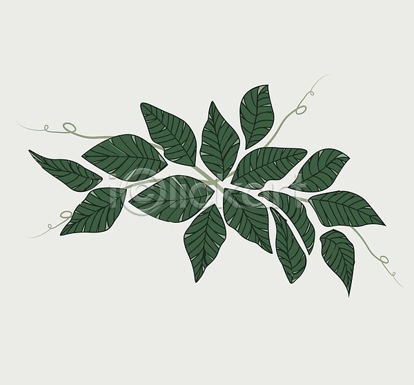 사람없음 EPS 일러스트 해외이미지 디자인 잎 초록색 해외202004