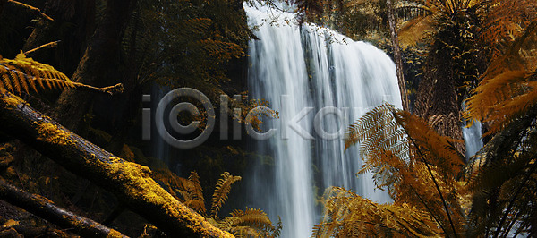 평화 흐름 사람없음 JPG 포토 해외이미지 개울 공원 내추럴 물 숲 안개 야외 양치류 열대우림 이끼 자연 자연백그라운드 초록색 폭포 풍경 해외202004 해외포토 호주 환경 황무지