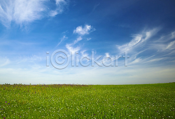 사람없음 JPG 포토 해외이미지 날씨 봄 야외 잔디 초록색 태양 풍경(경치) 하늘 해외202004 햇빛