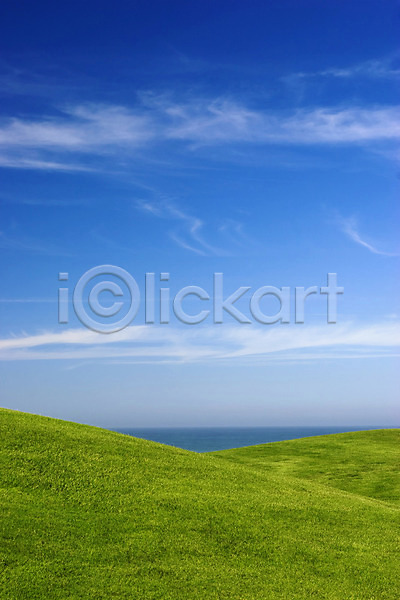 사람없음 JPG 포토 해외이미지 날씨 봄 야외 잔디 초록색 태양 풍경(경치) 하늘 해외202004 햇빛