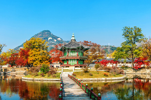 사람없음 JPG 포토 해외이미지 가을(계절) 공원 나무 나뭇가지 단풍 빨간색 서울 식물 아시아 야외 잎 풍경(경치) 한국 해외202004 햇빛