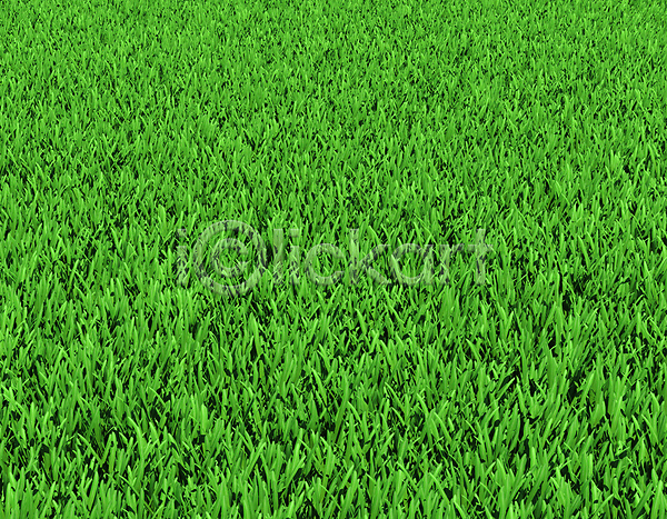 사람없음 JPG 포토 해외이미지 봄 식물 야외 잔디 정원 초록색 풍경(경치) 해외202004