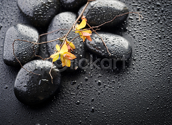 사람없음 JPG 포토 해외이미지 검은색 꽃 꽃잎 물 물방울 백그라운드 스파 쌓기 젖음 조약돌 컨셉 해외202004