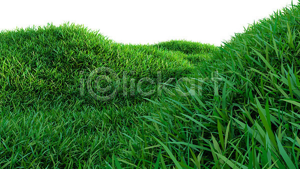 사람없음 JPG 포토 해외이미지 봄 식물 야외 잔디 초록색 풍경(경치) 해외202004