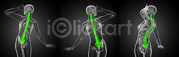 사람없음 3D JPG 포토 해외이미지 골격 뼈 생물학 요통 척추 해부 해외202004 해외포토