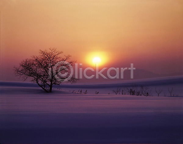사람없음 JPG 포토 겨울 나무 설경 설원 야외 일몰 일출 자연 태양 풍경(경치) 하늘 해