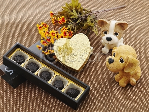 사람없음 JPG 포토 강아지 개 기념일 꽃 디저트 반려 발렌타인데이 상자 선물 장식 초콜릿 포장