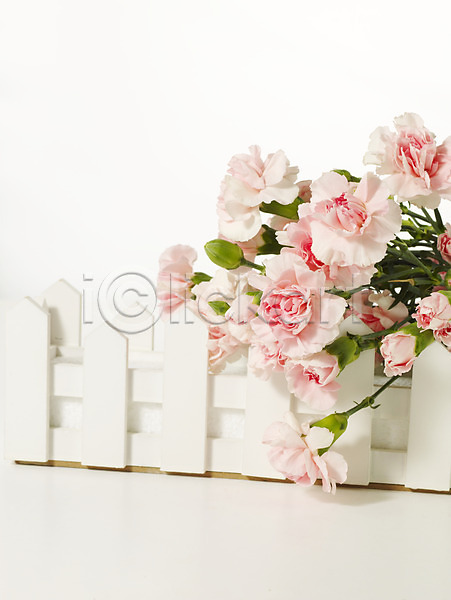 감사 사람없음 JPG 포토 기념 꽃 꽃다발 봄 선물 스튜디오촬영 식물 여러송이 오브젝트 울타리 인테리어 카네이션