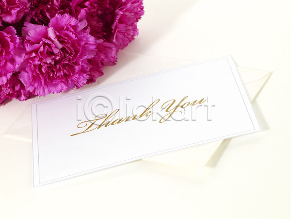 감사 사람없음 JPG 포토 기념 꽃 꽃다발 문구용품 봄 선물 스튜디오촬영 식물 여러송이 카네이션 카드(감사)