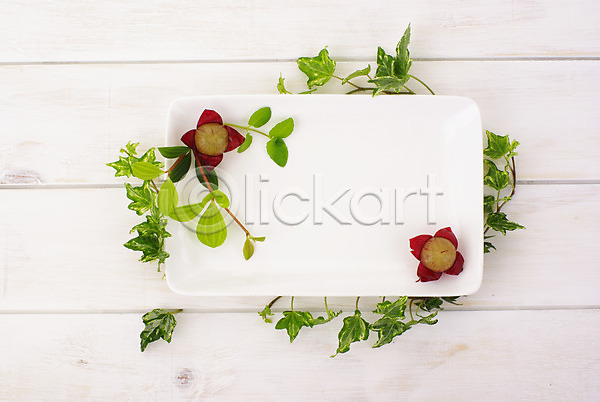 신선 사람없음 JPG 포토 하이앵글 과일 그릇 꽃무늬 디저트 백그라운드 빨간색 스튜디오촬영 식물 음식 잎 장식 접시 포도 포도알