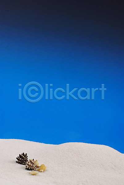 사람없음 JPG 포토 맑음 모래사장 모래언덕 백그라운드 소라 여름(계절) 연체동물 자연 조개 파란색 하늘 해변