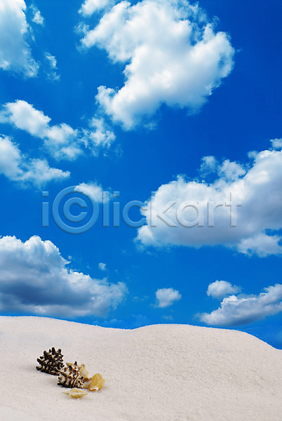 사람없음 JPG 포토 구름(자연) 맑음 모래사장 모래언덕 뭉게구름 백그라운드 소라 야외 여름(계절) 연체동물 자연 조개 파란색 하늘 해변