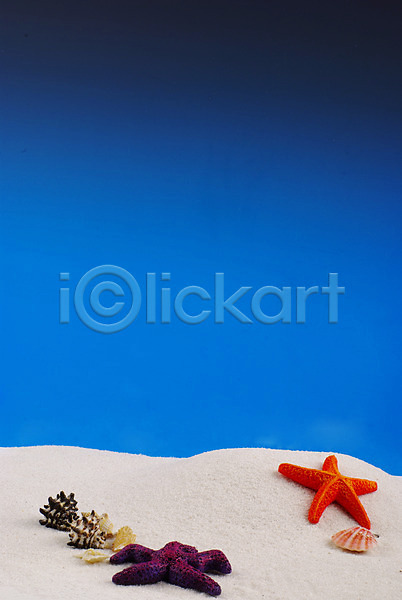 사람없음 JPG 포토 극피동물 맑음 모래사장 모래언덕 백그라운드 불가사리 소라 여름(계절) 자연 조개 조개껍데기 파란색 하늘 해변