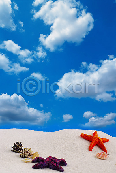 사람없음 JPG 포토 구름(자연) 극피동물 맑음 모래사장 모래언덕 뭉게구름 백그라운드 불가사리 소라 야외 여름(계절) 자연 파란색 하늘 해변