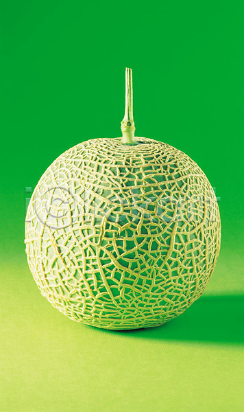 사람없음 JPG 근접촬영 포토 과일 멜론 세로 식물 실내 열매 음식 초록색 컬러