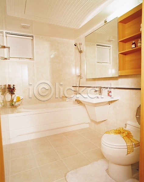 사람없음 JPG 포토 건축 건축자재 벽거울 변기 샤워기 세면대 시설물 실내 욕실 욕조 인테리어 현대건축 화장실