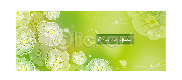 사람없음 EPS 일러스트 꽃 꽃잎 백그라운드 식물 자연 초록색 컬러