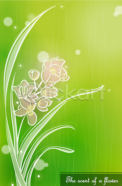 사람없음 EPS 일러스트 꽃 꽃잎 난초 난초꽃 백그라운드 식물 자연 초록색 컬러