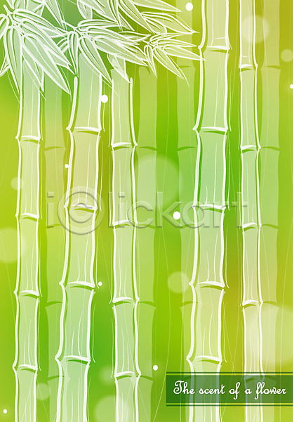 사람없음 EPS 일러스트 꽃 나무 대나무 백그라운드 식물 자연 초록색 컬러