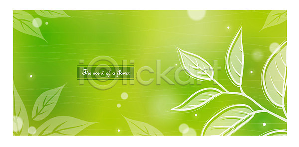 사람없음 EPS 일러스트 나뭇잎 백그라운드 식물 잎 초록색 컬러