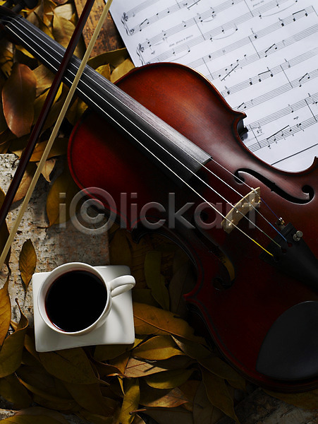 사람없음 JPG 포토 가을(계절) 계절 나뭇잎 낙엽 문화 바이올린 사계절 식물 악기 악보 예술 음악 잎 자연 찻잔 커피 커피잔 현악기