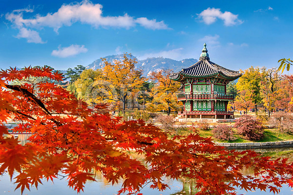 사람없음 JPG 포토 해외이미지 가을(계절) 공원 나무 나뭇가지 단풍 빨간색 서울 식물 야외 잎 풍경(경치) 한국 해외202004 햇빛
