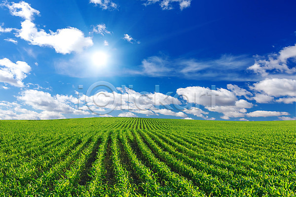 사람없음 JPG 포토 해외이미지 구름(자연) 농경지 농장 무료이미지 밭 야외 풍경(경치) 하늘 해외202004 햇빛