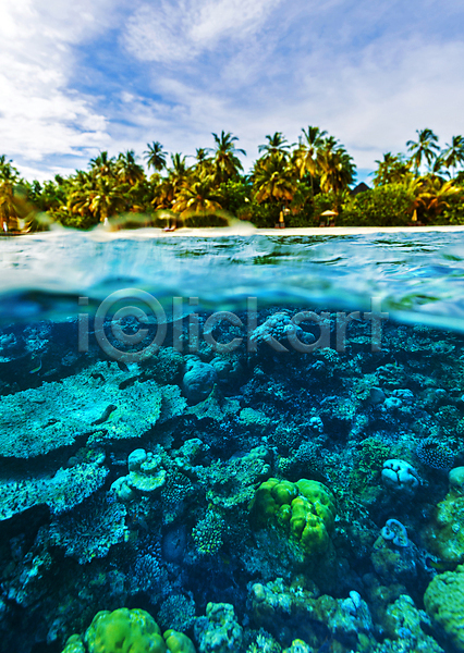 고급 사람없음 JPG 포토 해외이미지 깊이 나무 맑음 멀리 몰디브 물 바다 산호 석호 수중 아시아 야생동물 야외 어류 여름(계절) 여행 열대 투명 파라다이스 풍경(경치) 하늘색 해외202004 휴양지