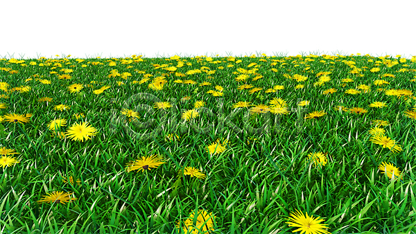 사람없음 JPG 포토 해외이미지 디자인 민들레 봄 식물 잔디 초록색 풍경(경치) 해외202004