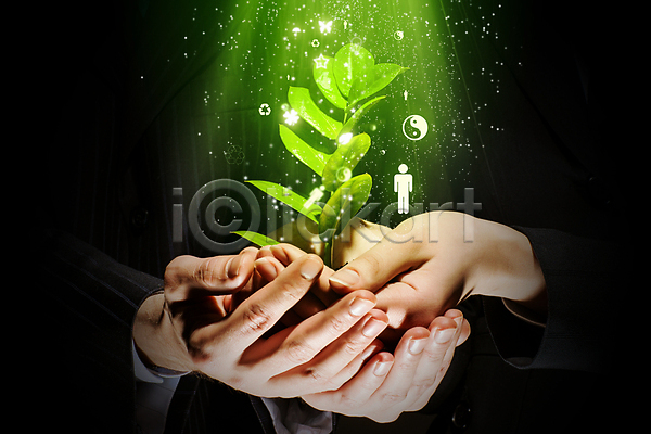 사람없음 신체부위 JPG 포토 해외이미지 들기 무료이미지 새싹 손 식물 잎 줄기 초록색 컨셉 해외202004