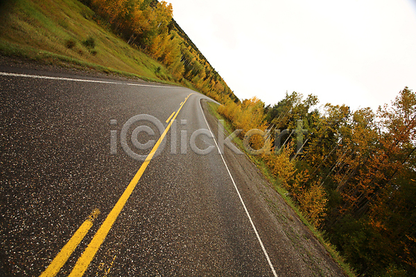 사람없음 JPG 포토 해외이미지 가을(계절) 고속도로 나무 디지털 소나무 앨버타 여행 잎 캐나다 풍경(경치) 해외202004