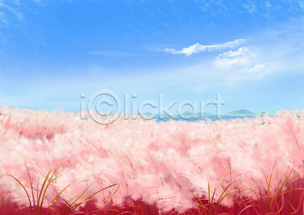 사람없음 PSD 일러스트 구름(자연) 꽃밭 백그라운드 분홍색 제주도 제주도여행 풍경(경치) 핑크뮬리 하늘 하늘색