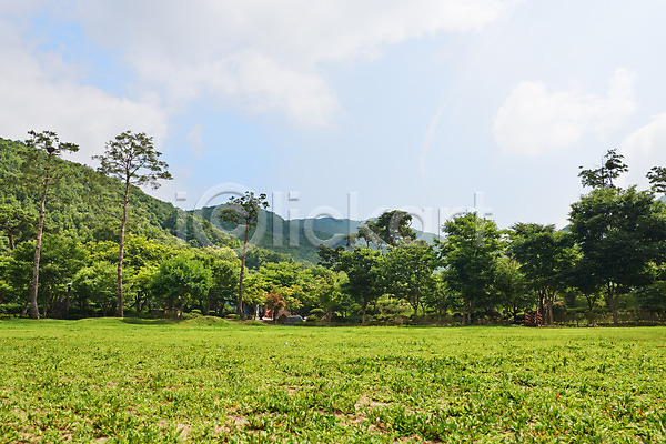 사람없음 JPG 포토 공원 나무 맑음 숲 야외 여름(계절) 자연 자연휴양림 잔디 주간 풍경(경치) 하늘