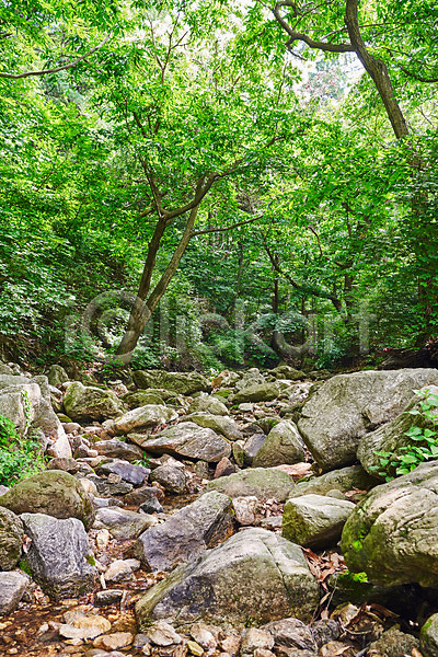 사람없음 JPG 포토 계곡 나무 돌(바위) 맑음 바위(돌) 숲 야외 여름(계절) 자연 자연휴양림 주간 풍경(경치)