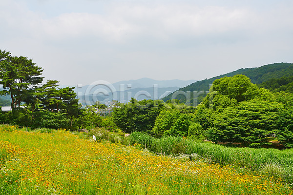 사람없음 JPG 포토 공원 꽃 꽃밭 나무 맑음 산 숲 야외 여름(계절) 자연 자연휴양림 주간 풍경(경치) 하늘