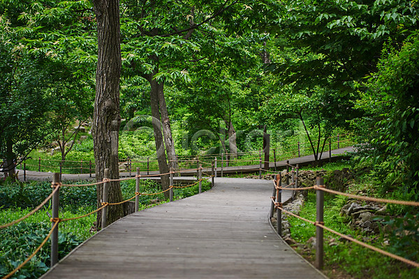 사람없음 JPG 포토 공원 나무 맑음 산책로 숲 야외 여름(계절) 자연 자연휴양림 주간 풍경(경치)