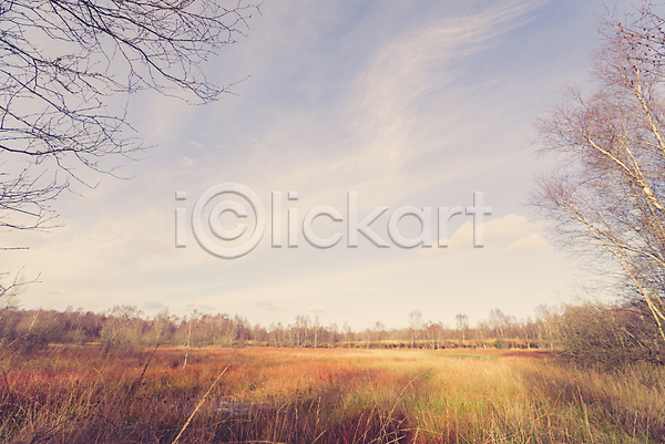 사람없음 JPG 포토 해외이미지 가을(계절) 구름(자연) 나무 덴마크 맑음 밭 식물 야외 잎 자연 풍경(경치) 하늘 해외202004