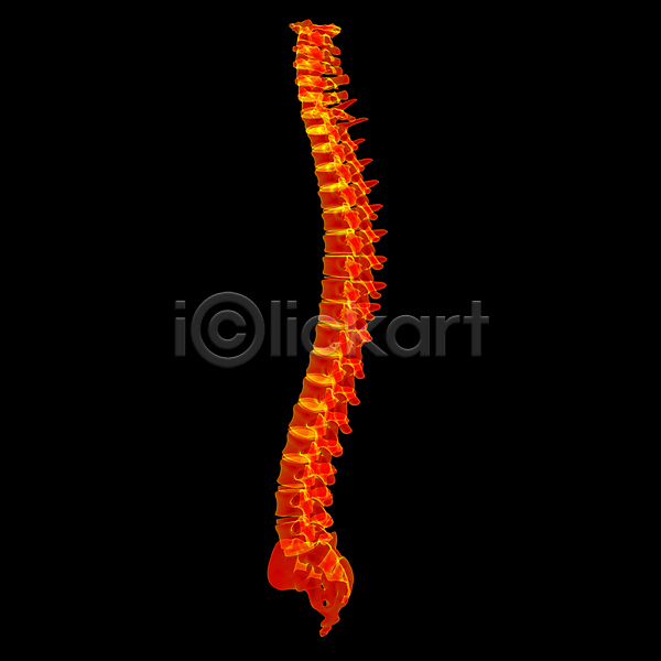 고통 사람없음 3D JPG 포토 해외이미지 건강 검사(조사) 골격 뼈 신체 엑스레이 요통 질병 척추 해외202004 환자