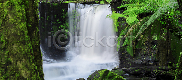 평화 흐름 사람없음 JPG 포토 해외이미지 개울 공원 내추럴 물 숲 안개 야외 양치류 열대우림 이끼 자연 자연백그라운드 초록색 폭포 풍경 해외202004 해외포토 호주 환경 황무지