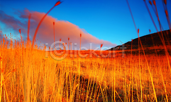 사람없음 JPG 포토 해외이미지 가을(계절) 구름(자연) 농장 밀 밭 산 야외 일몰 자연 풍경(경치) 하늘 해외202004