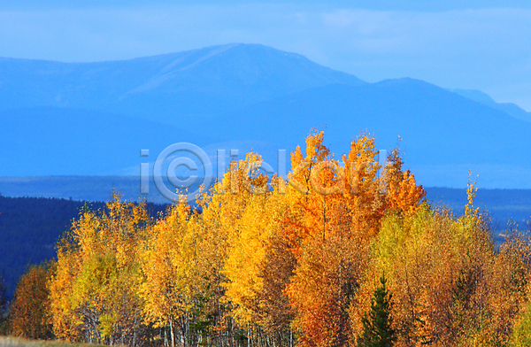 사람없음 JPG 포토 해외이미지 가을(계절) 구름(자연) 나무 산 여행 잎 자연 캐나다 풍경(경치) 하늘 해외202004