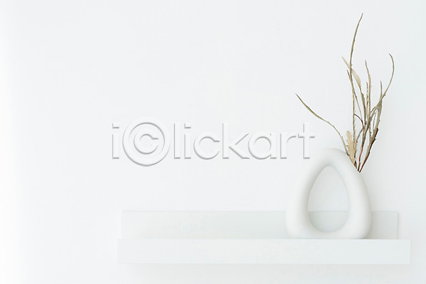 건조 사람없음 JPG 포토 그레빌리아 꽃 꽃병 드라이플라워 백그라운드 스튜디오촬영 식물 실내 오브젝트 흰배경 흰색