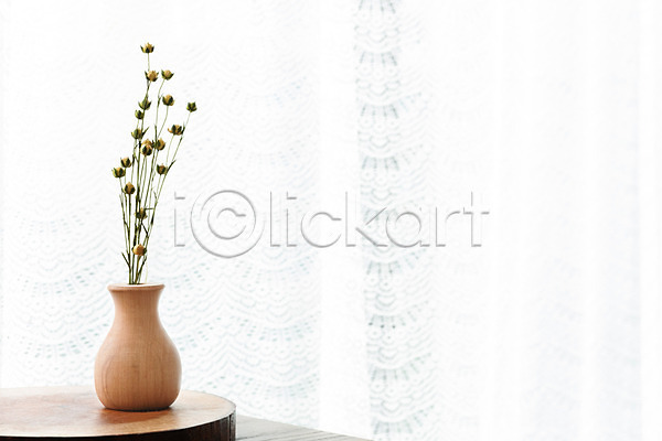 건조 사람없음 JPG 포토 꽃 꽃병 드라이플라워 스튜디오촬영 식물 실내 아마 오브젝트 커튼 흰배경