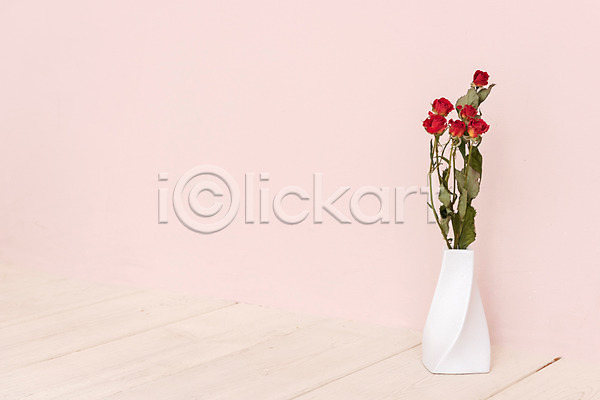 건조 사람없음 JPG 포토 꽃 꽃병 드라이플라워 분홍색배경 스튜디오촬영 식물 실내 오브젝트 장미