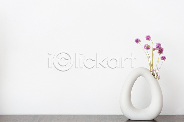 건조 사람없음 JPG 포토 꽃 꽃병 드라이플라워 백그라운드 스튜디오촬영 식물 실내 오브젝트 천일홍 흰배경 흰색