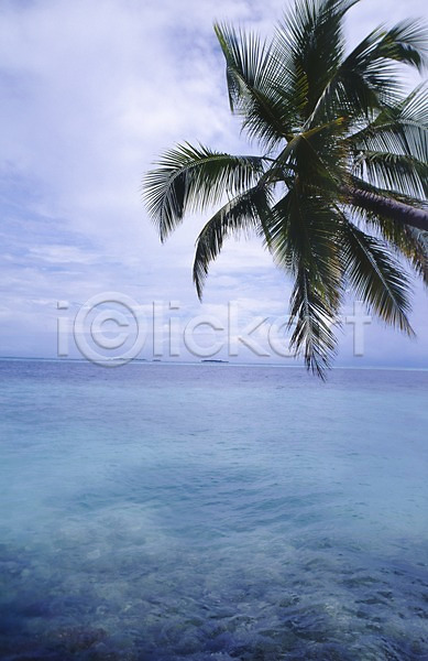 사람없음 포토 관광지 구름(자연) 나무 몰디브 바다 서남아시아 서아시아 섬 세계 식물 아시아 야외 야자수 외국문화 주간 쿠다반도스섬 풍경(경치) 하늘 해외 해외풍경 휴양지