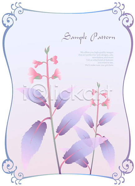 사람없음 EPS 일러스트 꽃 꽃백그라운드 디자인 무늬 문양 문자 백그라운드 보라색 분홍색 사각형 식물 식물문양 알파벳 영어 자연 컬러 틀 패턴
