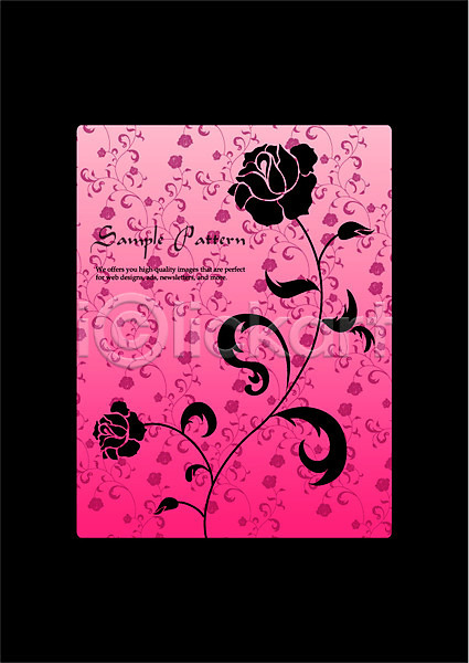 사람없음 EPS 일러스트 검은색 꽃 꽃백그라운드 두송이 디자인 무늬 문양 문자 백그라운드 분홍색 사각형 식물 식물문양 알파벳 영어 자연 장미 컬러 틀 패턴