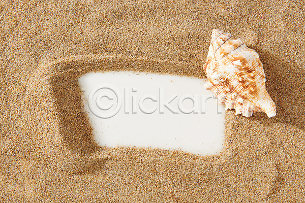 사람없음 JPG 포토 하이앵글 갈색 모래 백그라운드 사각형 소라 스튜디오촬영 실내 재질 질감 프레임 플랫레이 흙 흰배경